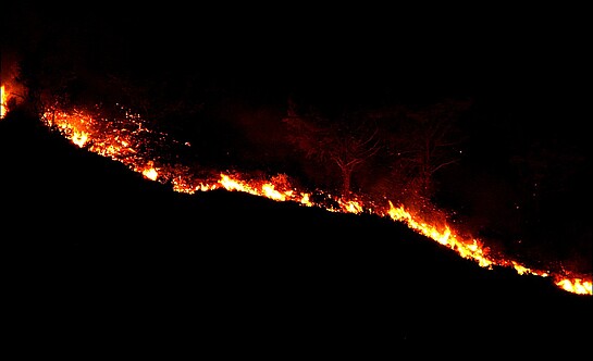 28_08_2025_OG_Halle-G_Kahlschlag_bei_Cargo-Werken