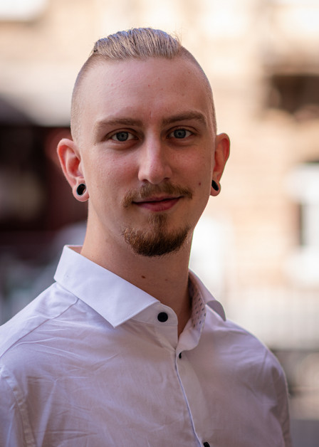 Falco Birke Falco Birke