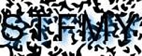 grafischer Sicherheitscode
