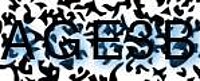 grafischer Sicherheitscode